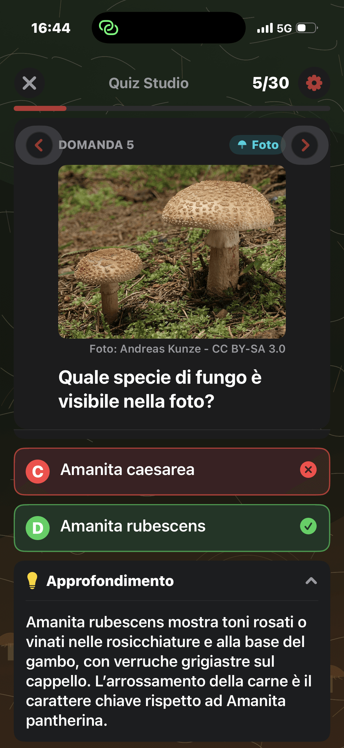 Quiz Funghi 3