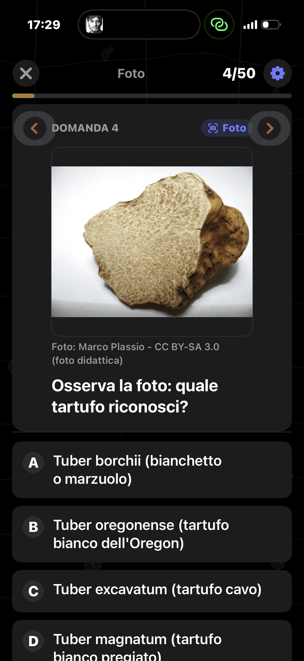Quiz Tartufi 2