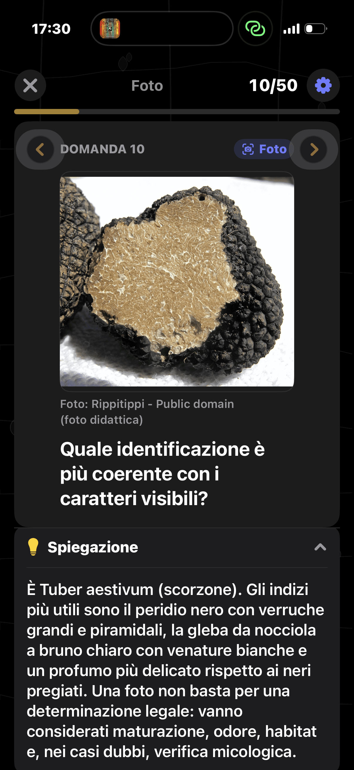 Quiz Tartufi 5